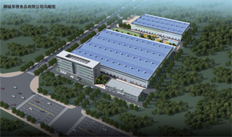 山东孚德食品公司.jpg